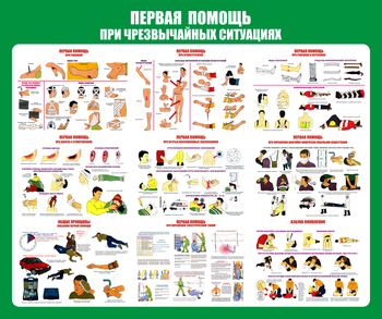 С20-1 Стенд Оказание первой помощи при ЧС (670х800 мм, пластик ПВХ 3 мм, алюминиевый багет серебряного цвета) - Стенды - Стенды по первой медицинской помощи - Магазин охраны труда ИЗО Стиль